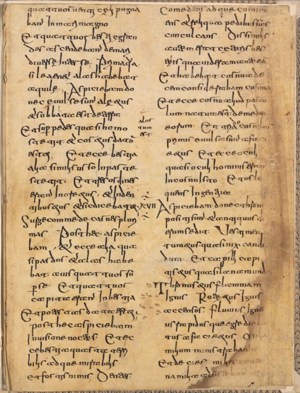 Bible, Latin (Daniel fragment).